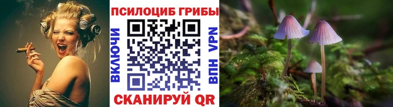 маркетплейс состав Поворино Псилоцибиновые грибы Magic Shrooms